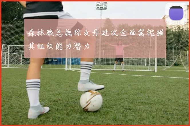 森林狼总裁称麦丹进攻全面需挖掘其组织能力潜力